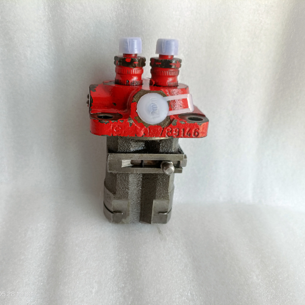 Bukh 610A1000 Fuel Injection Pump for DV20 DV24RME DV29RME DV32 Marine Diesel Engines Remanufactured - Image 2
